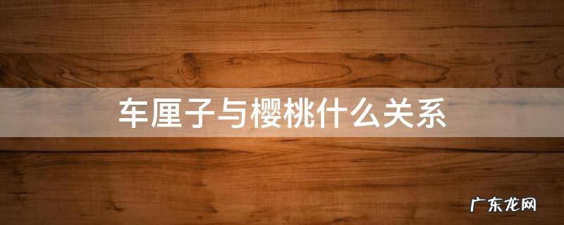 车厘子与樱桃什么关系 车厘子和大樱桃什么关系