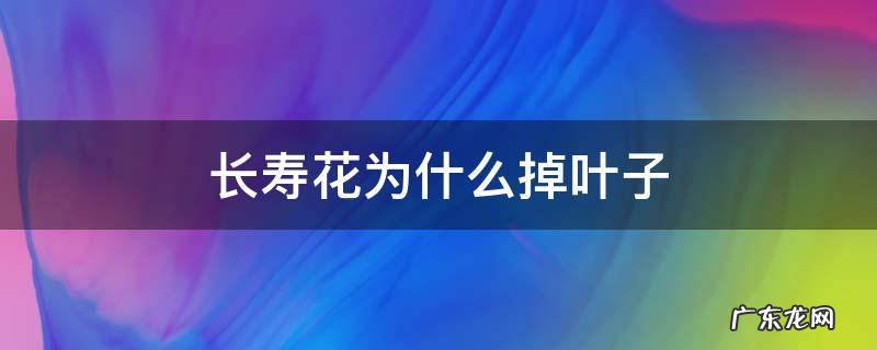 长寿花为什么掉叶子 长寿花为什么掉叶子发黄