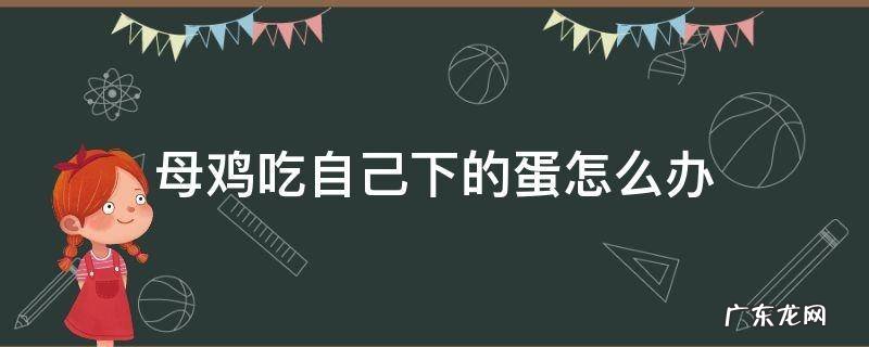 母鸡吃自己下的蛋怎么办 母鸡吃自己下的蛋怎么回事