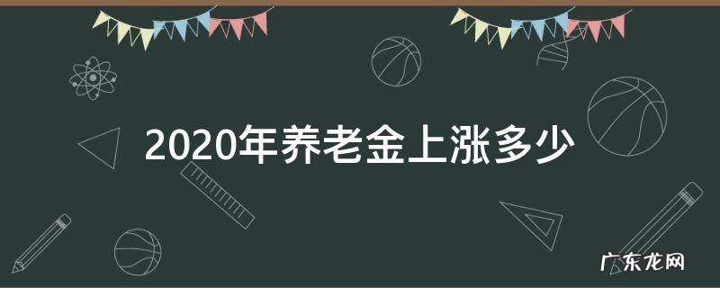 2020年养老金上涨多少 2020年养老金上涨多少钱