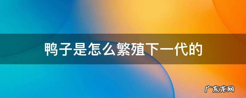 鸭子是怎么繁殖下一代的 鸭子的繁殖方式是什么?