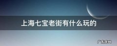 上海七宝老街都有什么 上海七宝老街有什么玩的