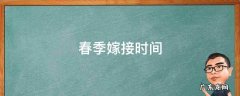迎春嫁接时间 春季嫁接时间