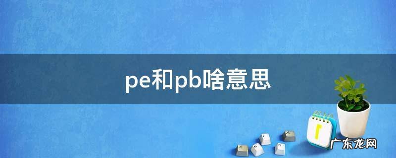 pe和pb啥意思 pe和PB