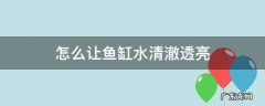 怎样让鱼缸的水清亮 怎么让鱼缸水清澈透亮