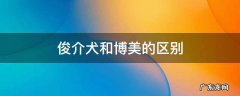 俊介犬是博美吗 俊介犬和博美的区别