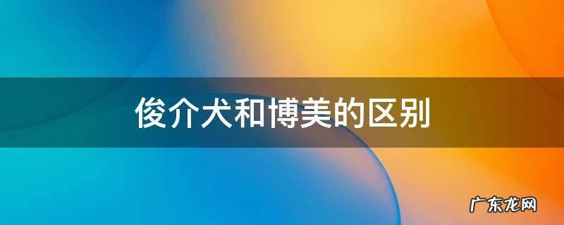 俊介犬是博美吗 俊介犬和博美的区别