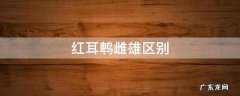 红耳鹎雌雄区别 红耳鹎长什么样