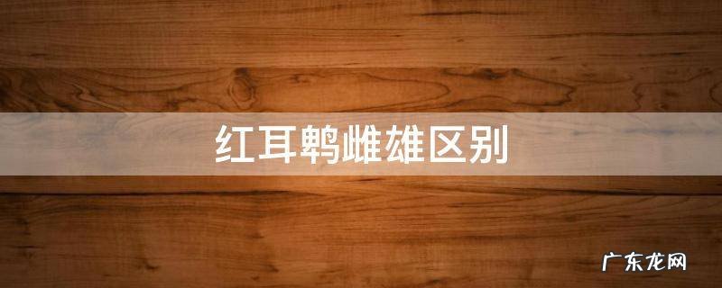 红耳鹎雌雄区别 红耳鹎长什么样