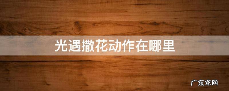 光遇撒花的动作在哪里 光遇撒花动作在哪里