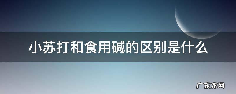 小苏打和食用碱的区别是什么 小苏打与食用碱有什么区别