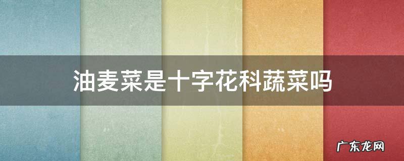 油麦菜是十字花科类蔬菜吗 油麦菜是十字花科蔬菜吗