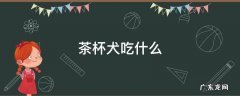 茶杯犬吃什么 茶杯犬吃什么狗粮