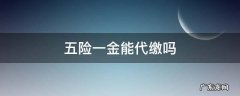 什么叫代缴五险一金 五险一金能代缴吗