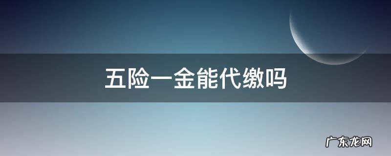 什么叫代缴五险一金 五险一金能代缴吗