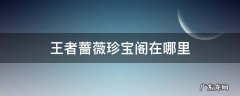 王者荣耀蔷薇的珍宝阁在哪里 王者蔷薇珍宝阁在哪里