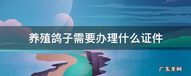 养殖鸽子需要办理什么证件 养殖鸽子要办些什么证
