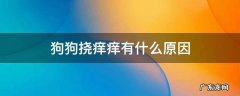 狗狗挠痒痒有什么原因 狗狗老是挠痒是什么原因