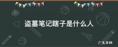 盗墓里的瞎子是谁 盗墓笔记瞎子是什么人
