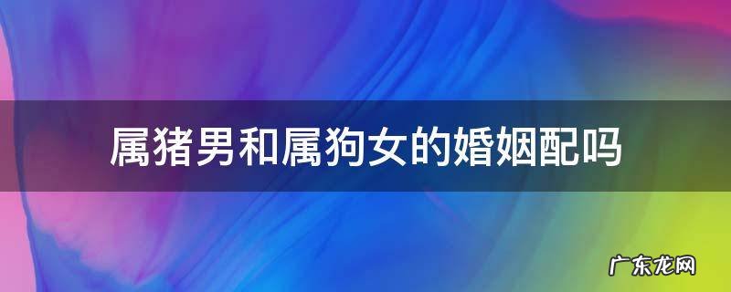 属狗女和属猪男婚姻相配吗 属猪男和属狗女的婚姻配吗