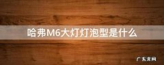 哈弗M6大灯灯泡型是什么 哈弗m6是led大灯吗