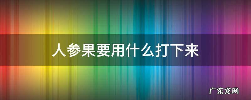 人参果用什么打下的 人参果要用什么打下来