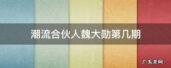 潮流合伙人第一季魏大勋是哪一期 潮流合伙人魏大勋第几期