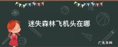 迷失森林飞机尾位置 迷失森林飞机头在哪