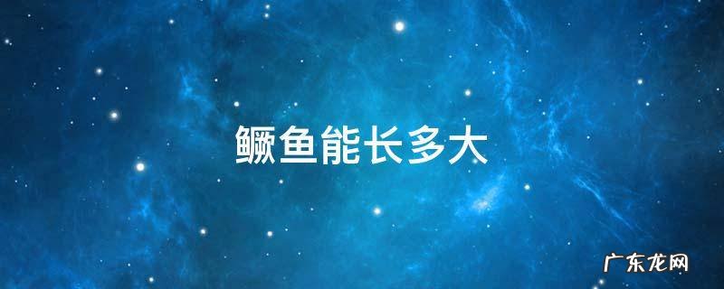 鳜鱼能长多大 鳜鱼能长多大?