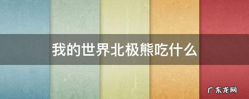 我的世界北极熊吃什么食物 我的世界北极熊吃什么