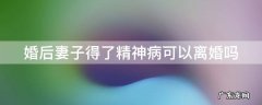 婚后妻子患有精神病 婚后妻子得了精神病可以离婚吗