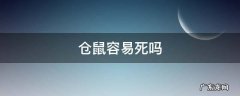 网上买仓鼠容易死吗 仓鼠容易死吗
