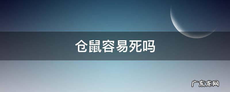 网上买仓鼠容易死吗 仓鼠容易死吗