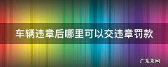 车辆违章后哪里可以交违章罚款呢 车辆违章后哪里可以交违章罚款