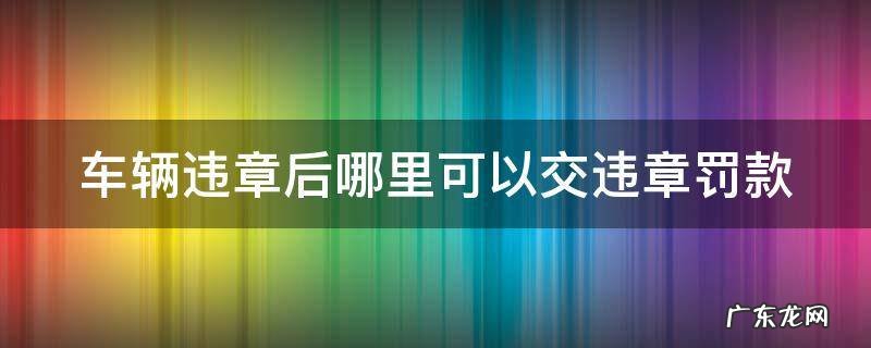车辆违章后哪里可以交违章罚款呢 车辆违章后哪里可以交违章罚款