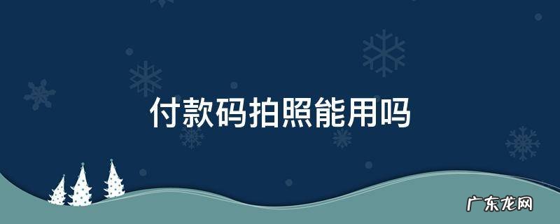 付款码拍照能用吗 拍照的支付宝付款码能用吗
