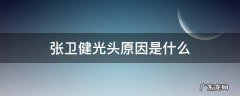 张卫健光头原因是什么 张卫健为什么一直都是光头