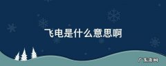 飞电啥意思 飞电是什么意思啊