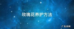 玫瑰花养护方法 玫瑰花养护方法简介