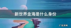 新世界金海是干什么的 新世界金海是什么身份