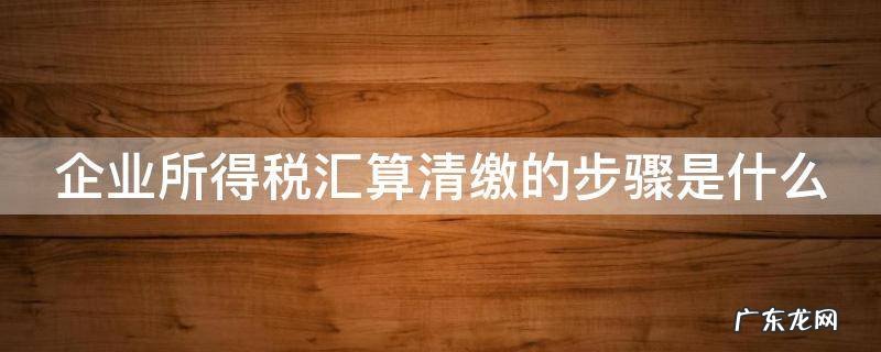 企业所得税汇算清缴的步骤是什么 企业所得税汇算清缴操作步骤