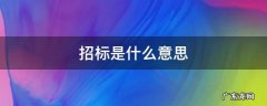 投标是什么意思 招标是什么意思