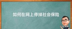网上怎么停掉个人社保 如何在网上停掉社会保险