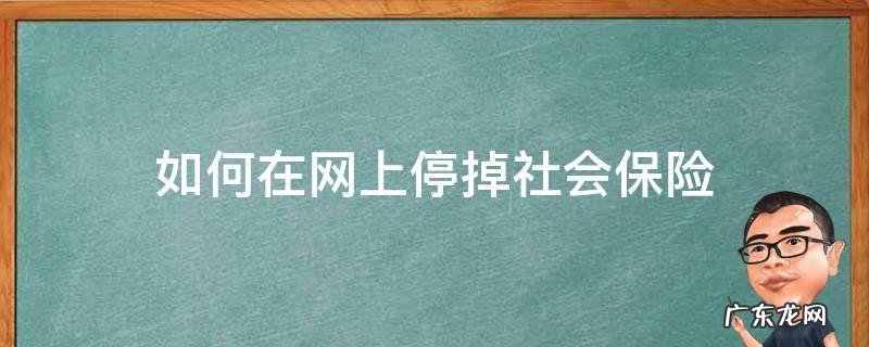 网上怎么停掉个人社保 如何在网上停掉社会保险