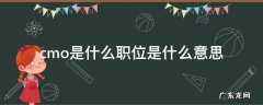cmo是什么职位是什么意思,系统集成 cmo是什么职位是什么意思
