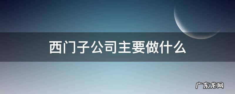 西门子公司做什么的 西门子公司主要做什么
