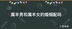 属羊男和属羊女的婚姻配吗 属羊的女和属羊的男的婚姻是否相配