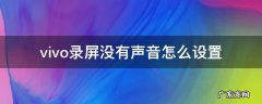 vivo录屏没有声音怎么设置 vivo屏幕录制怎么没有声音怎么设置