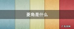 菱角是什么 菱角是什么味道