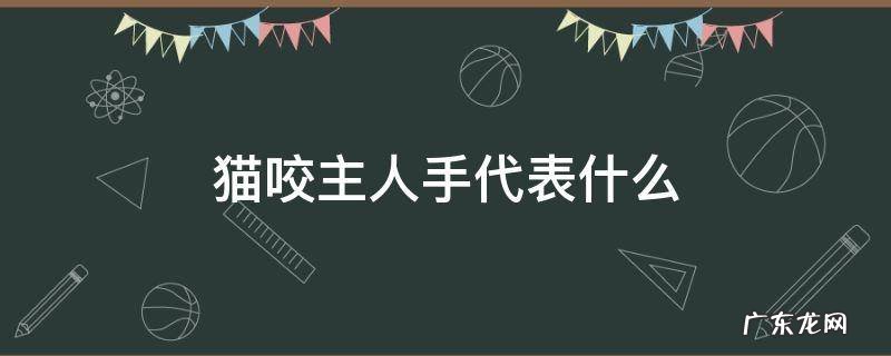 猫咬主人手代表什么 猫咬主人的手有什么寓意